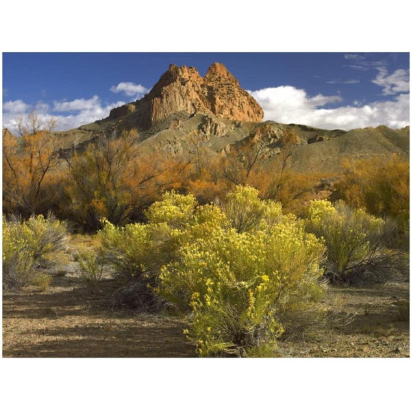 Millwood Pines Mitten Rock New Mexico Unframed Photograph Wayfair